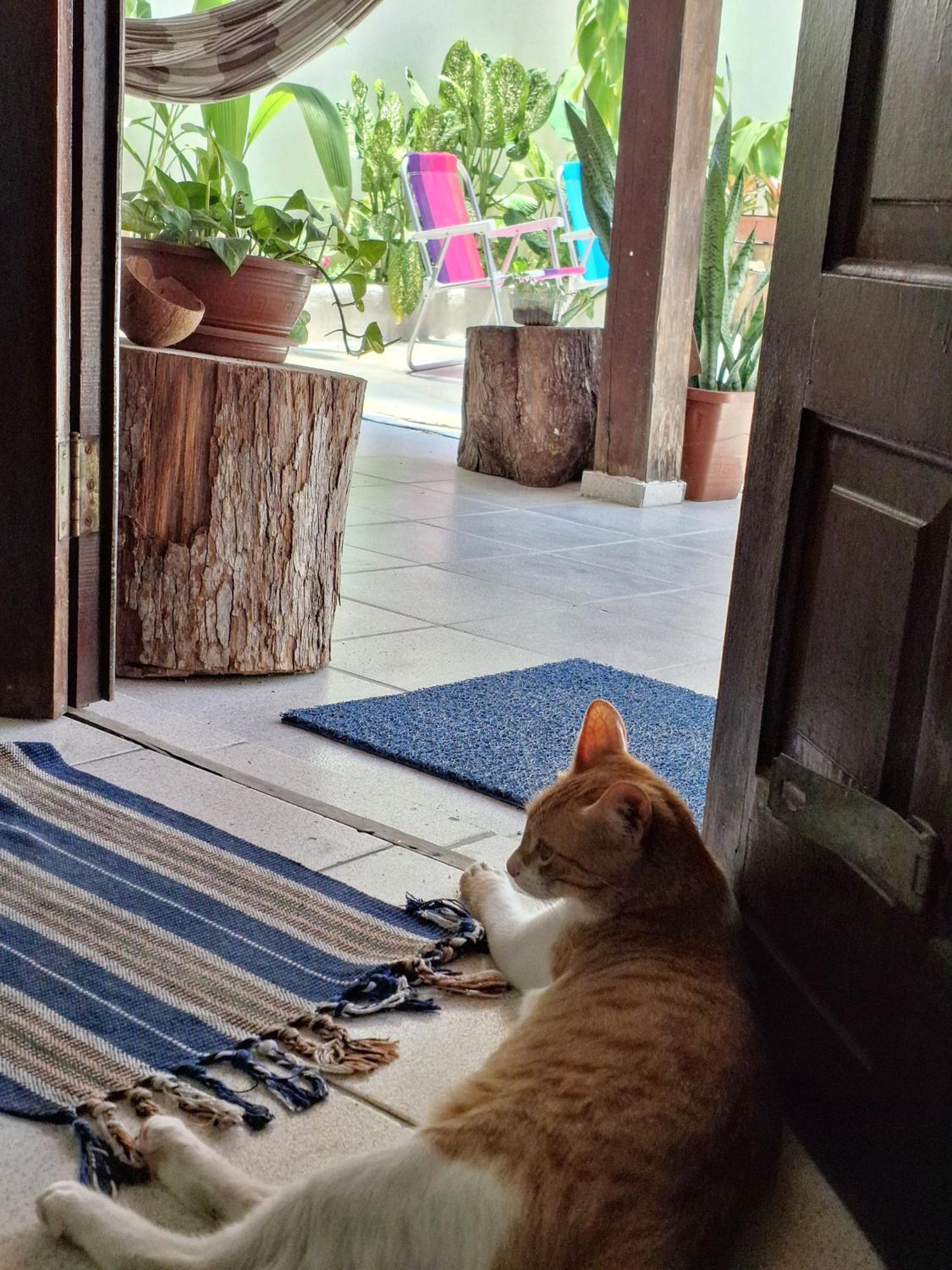 Odoya Casa Hostel Porto Seguro Luaran gambar